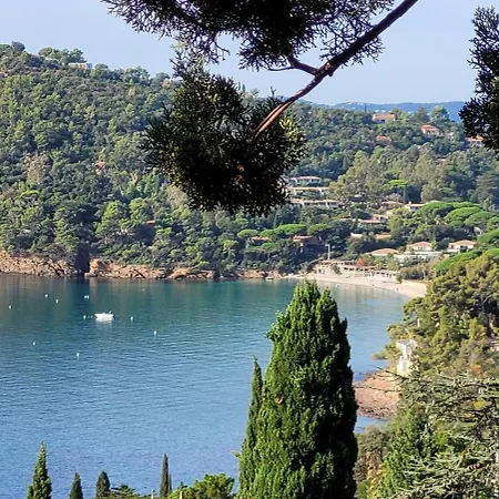 T2, Piscine, Terrasse, Plage, Parc Prive Le Lavandou