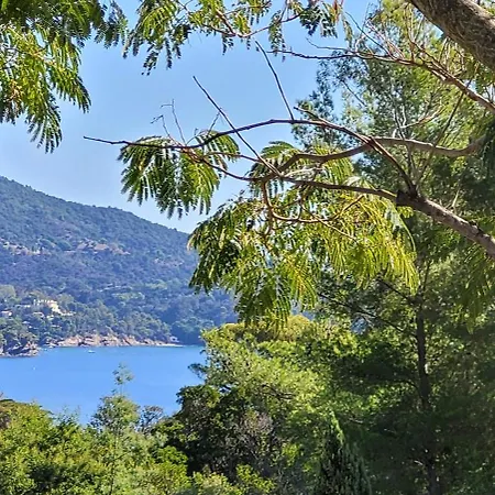 Apartment T2, Piscine, Terrasse, Plage, Parc Prive Le Lavandou