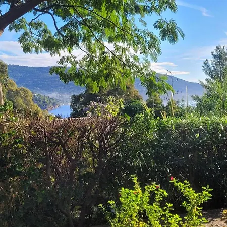 Apartment T2, Piscine, Terrasse, Plage, Parc Prive Le Lavandou